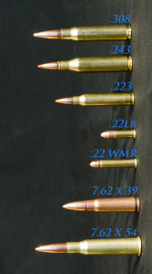 size compare  bullets